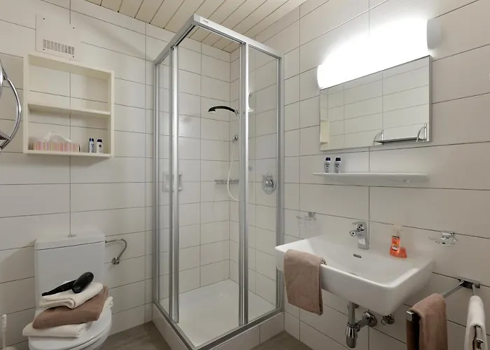 公寓式酒店 Kofler's Panorama-zillertal 菲根