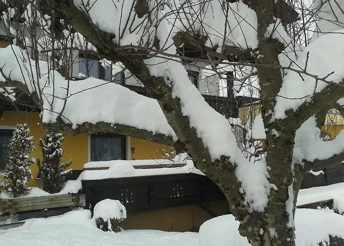 Kofler's Panorama-zillertal